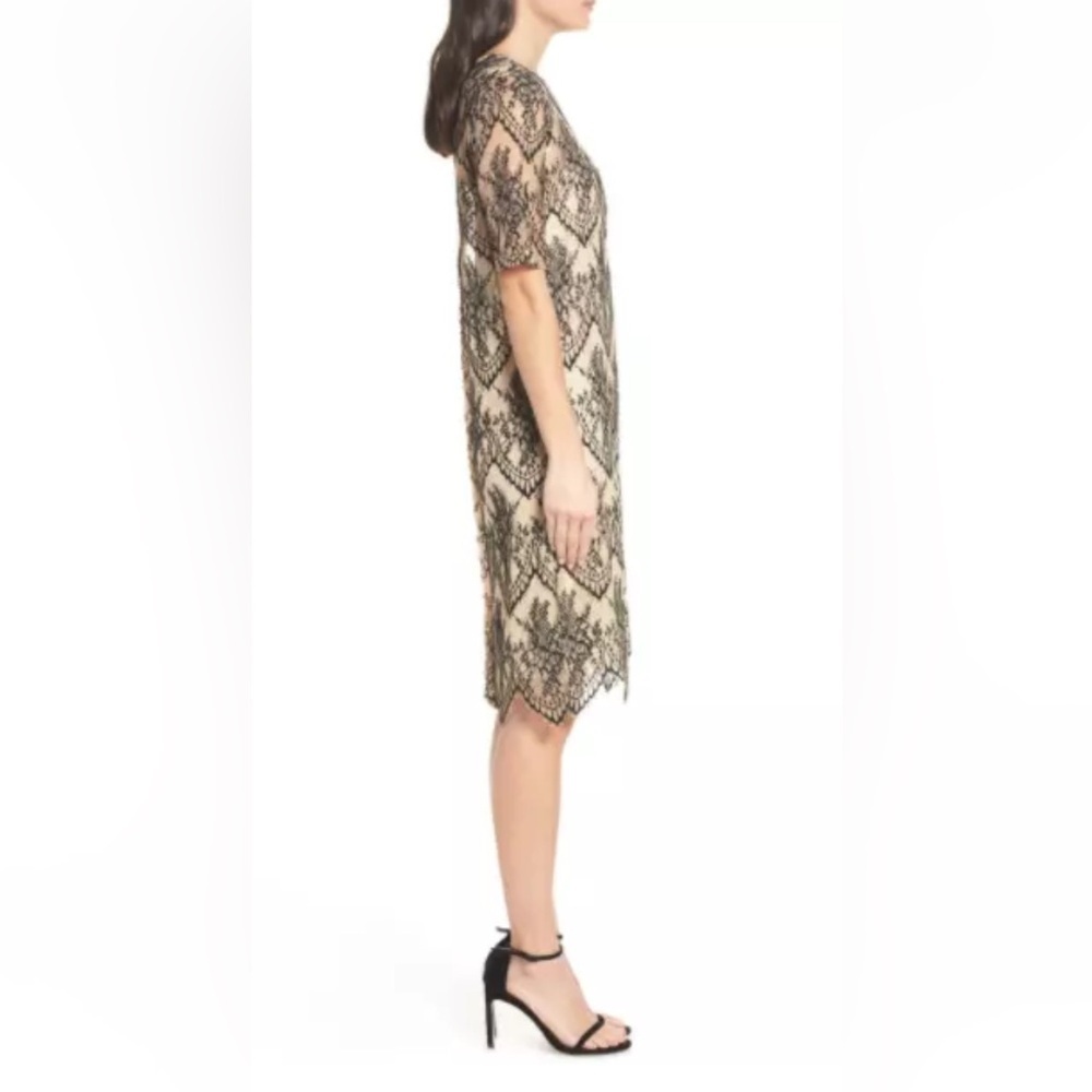 CAARA Nordstrom Scallopd Lace Shift Dress Black Beige Holiday Party Wedding Sz M - Picture 3 of 14